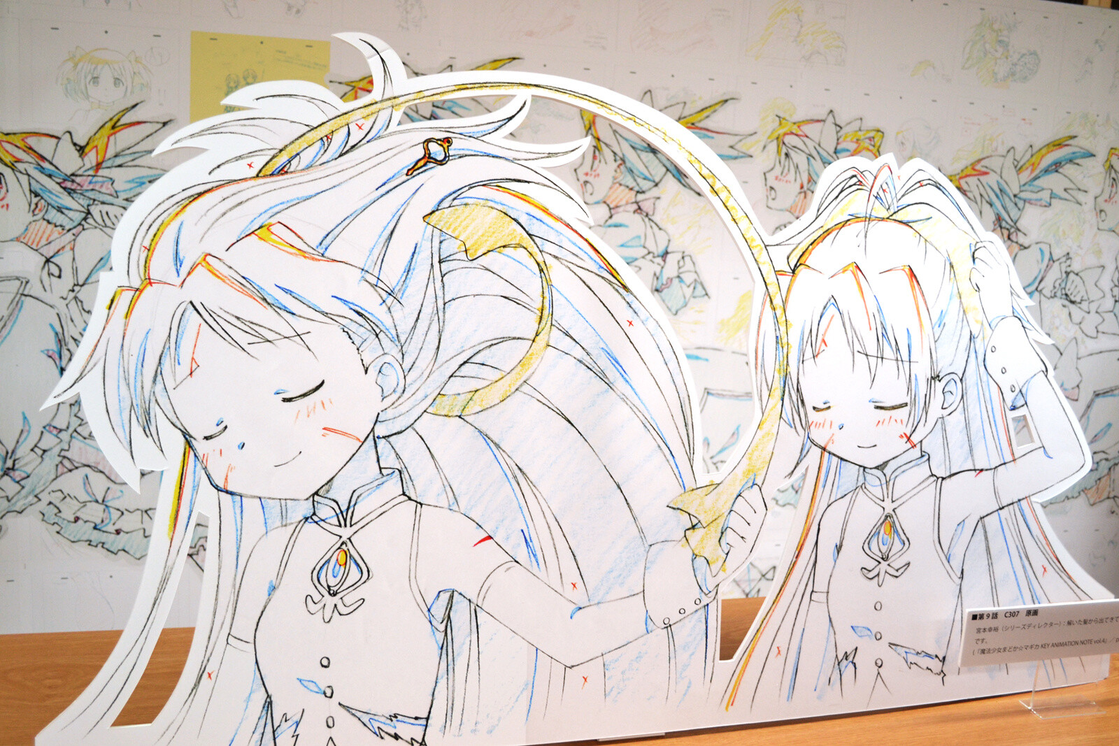 Fans are Dazzled by Madoka, the Savior of the World Past and Future, at Meiji University! 30
