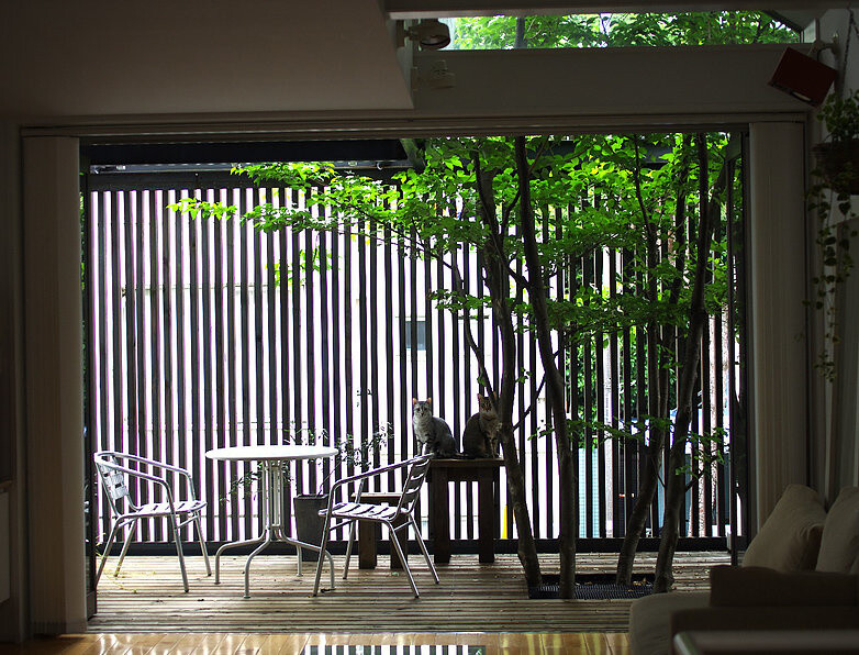 Mauhouse Setagaya deck 5