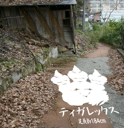  Tigrex Footprint “Monster Hunter Shibu Village” 7