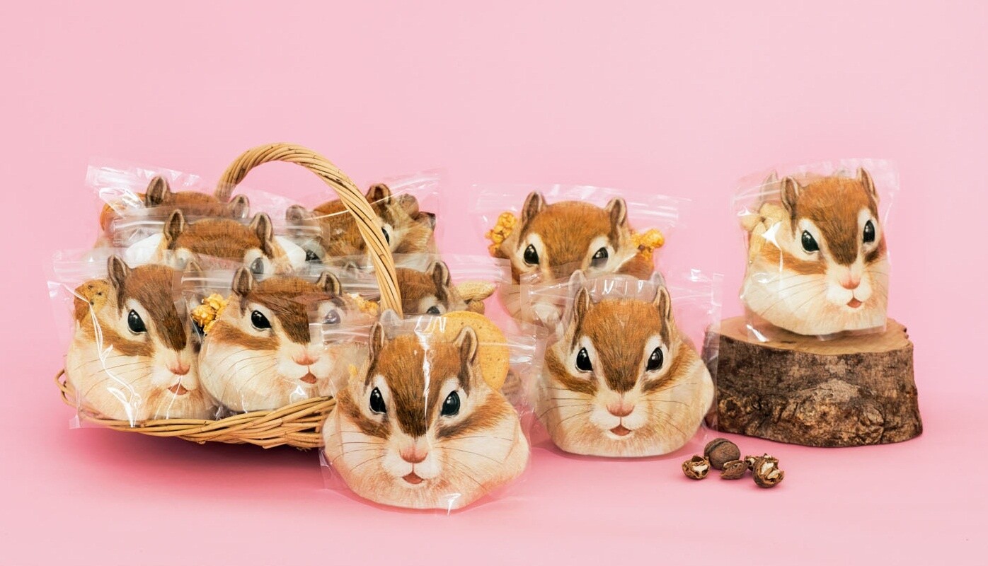 Cute Hamsters to Peek Out from Behind Your Diary or Notebook! 10