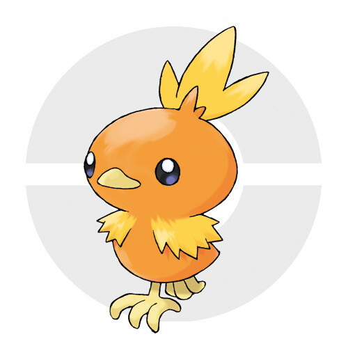 Torchic 2