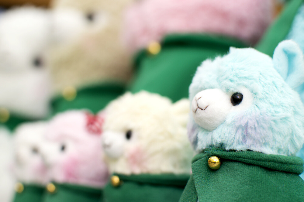 Advancing Alpacasso Corps! Sales Begin in August! 12