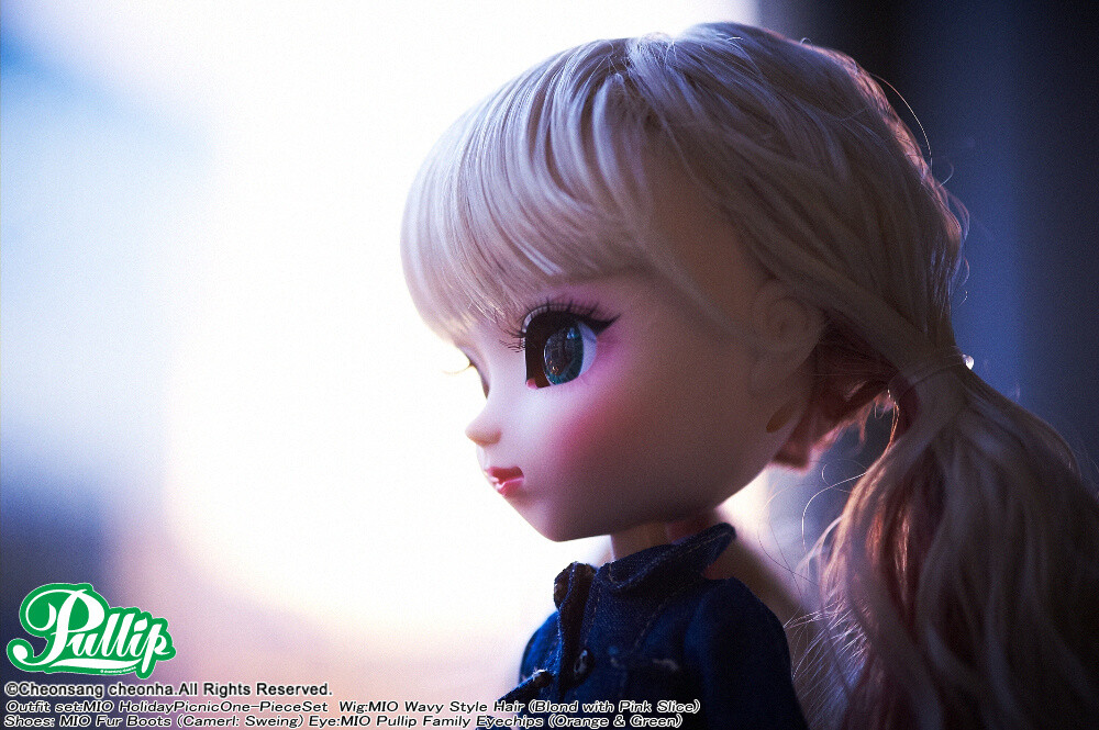 A Primer on Custom Dolls Beginning with Pullip: Connecting Hearts Through Love 14