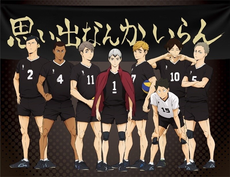 Visual for Haikyuu season 2!!!  Haikyuu anime, Haikyuu, Haikyu!!