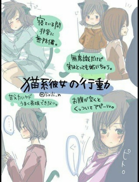 She’s a Cat and He’s a Dog. Japan is Like a Zoo with Character Types of Animals! 3