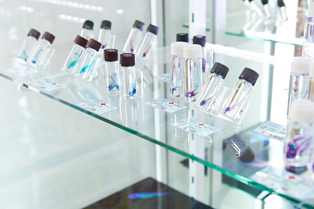 The Face of Akihabara Has Returned! Radio Kaikan Grand Opening! 14