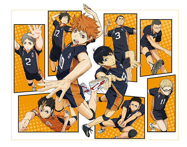 Best Volleyball Anime Ranked  The Mary Sue