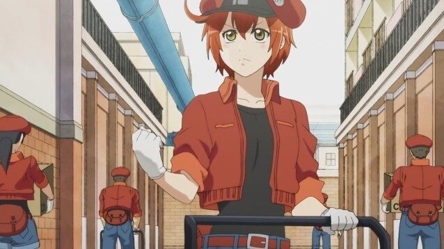 Cells at Work