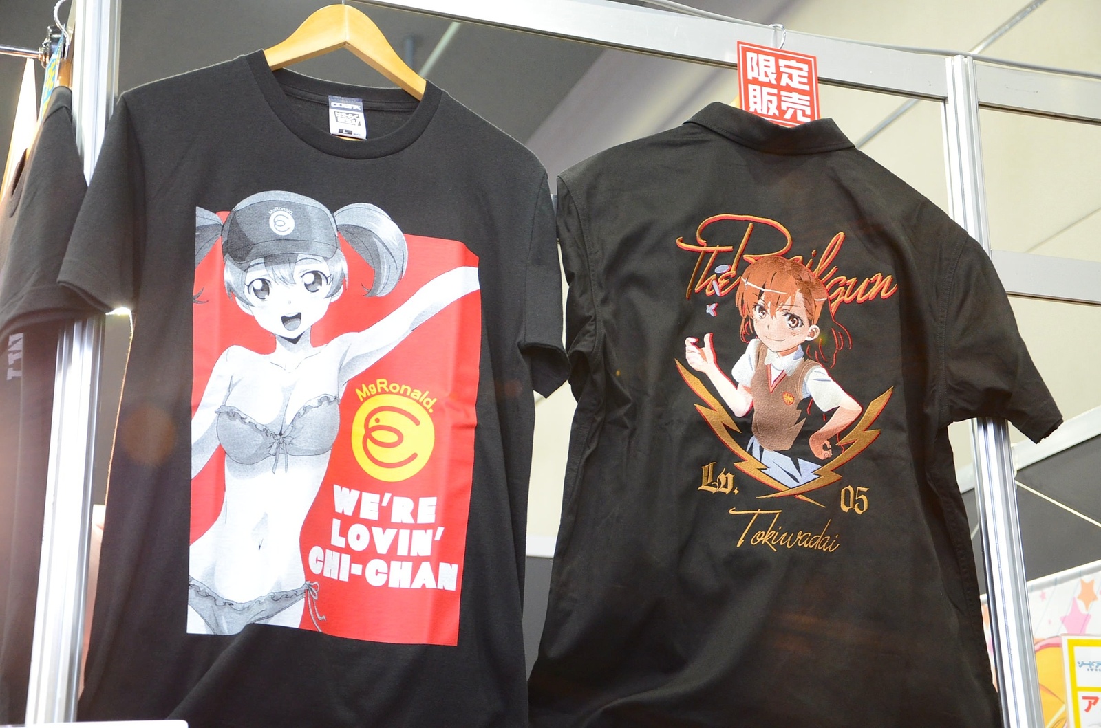 SAO! To Aru! Ore no Imōto! Series from Dengeki Bunko Were Out in Full Force at Autumn Festival 2013 12