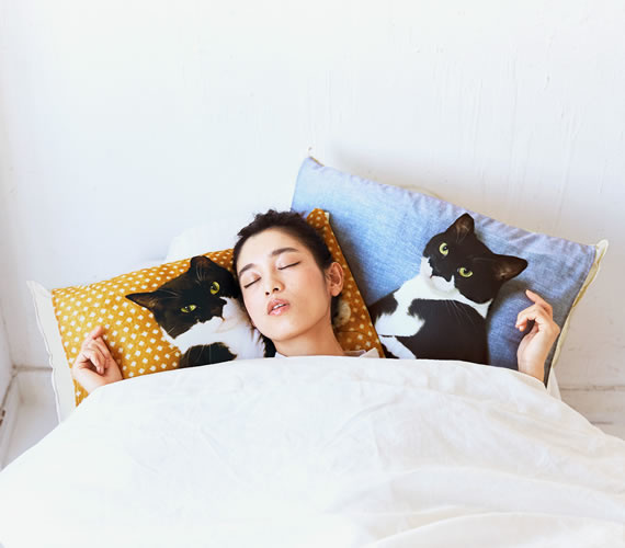 Lacking a Cat to Curl Up With? Fix That with Cute Kitty Pillow Covers!