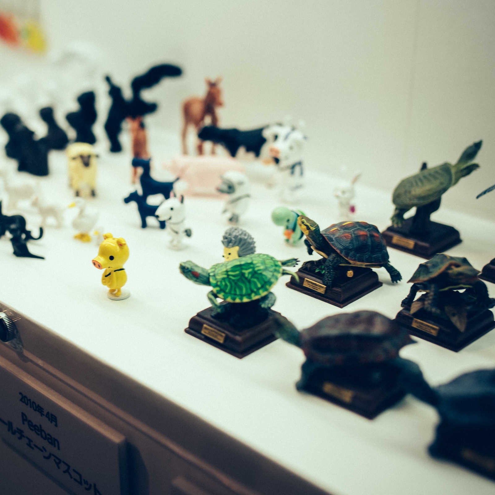 [Capsule Toy] Fuchico on the Cup Out in Force! Kitan Club 10th Anniversary Exhibition Report 10