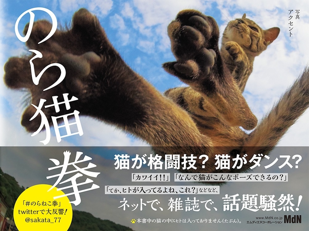 Nora Neko Ken Photo Book Showcases Kitties in Hilariously Odd Poses!