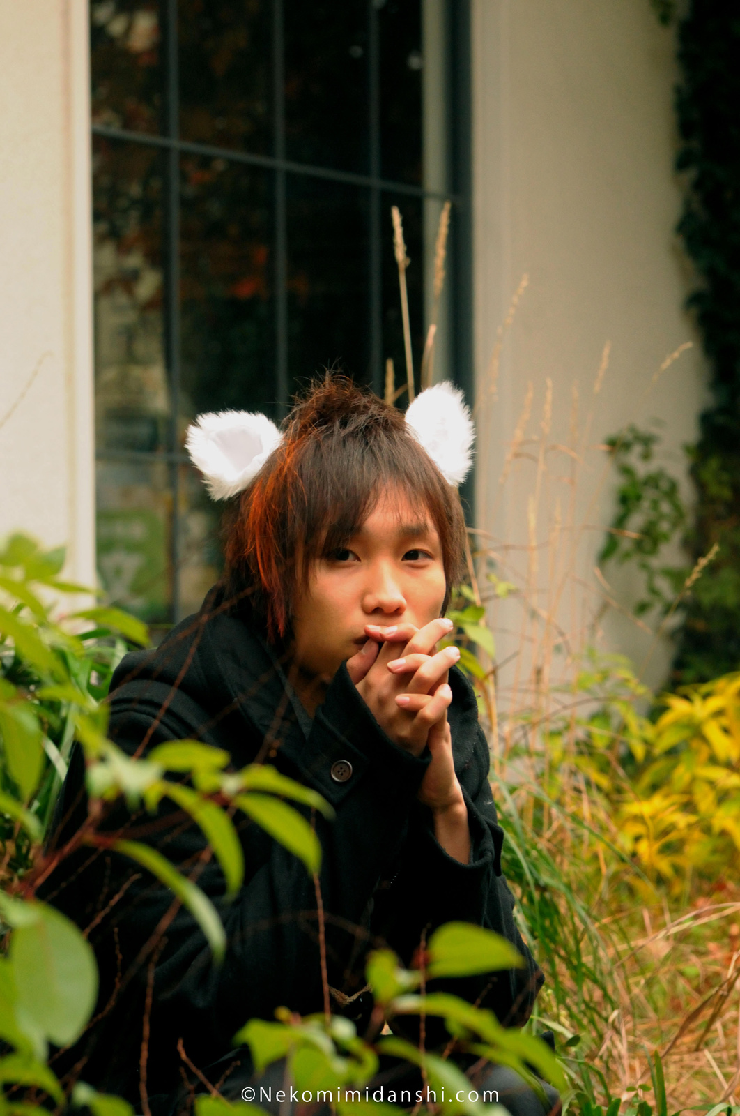 What the Nyan?! Nekomimi for Men Now Available! 1