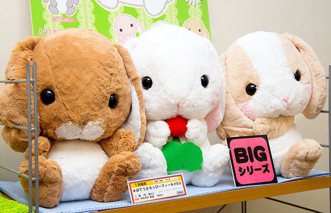 There’s No Denying It: Pote Usa Loppy Are Too Cute!