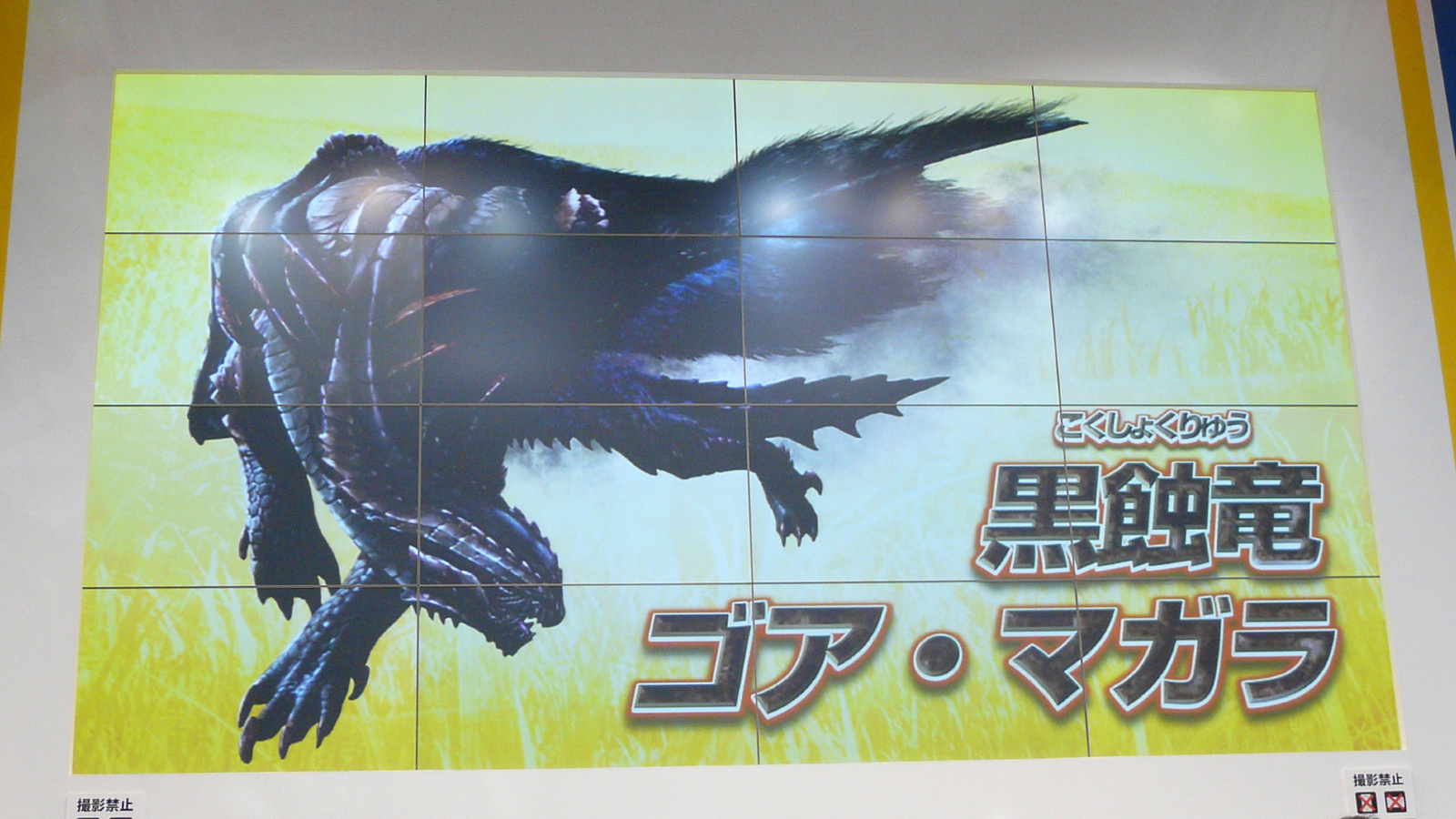 New Info on “Monster Hunter 3 (Tri) G HD Version” and “Ace Attorney 5” 13