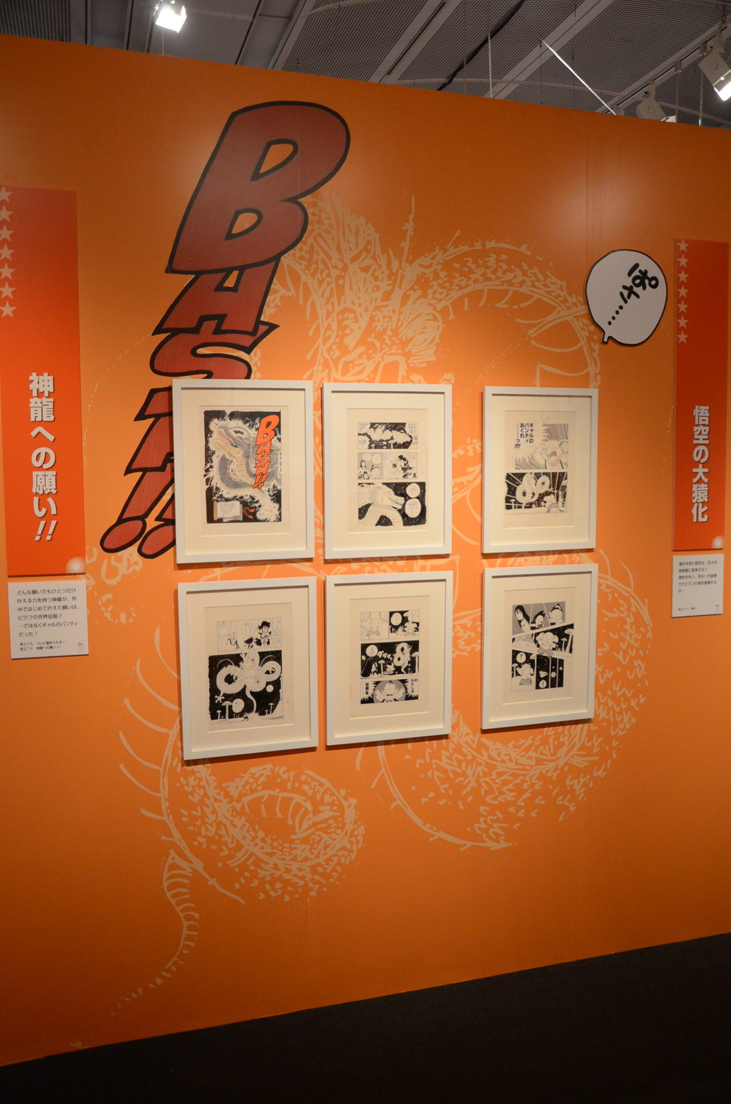 © Bird Studio/Shueisha Inc. 5