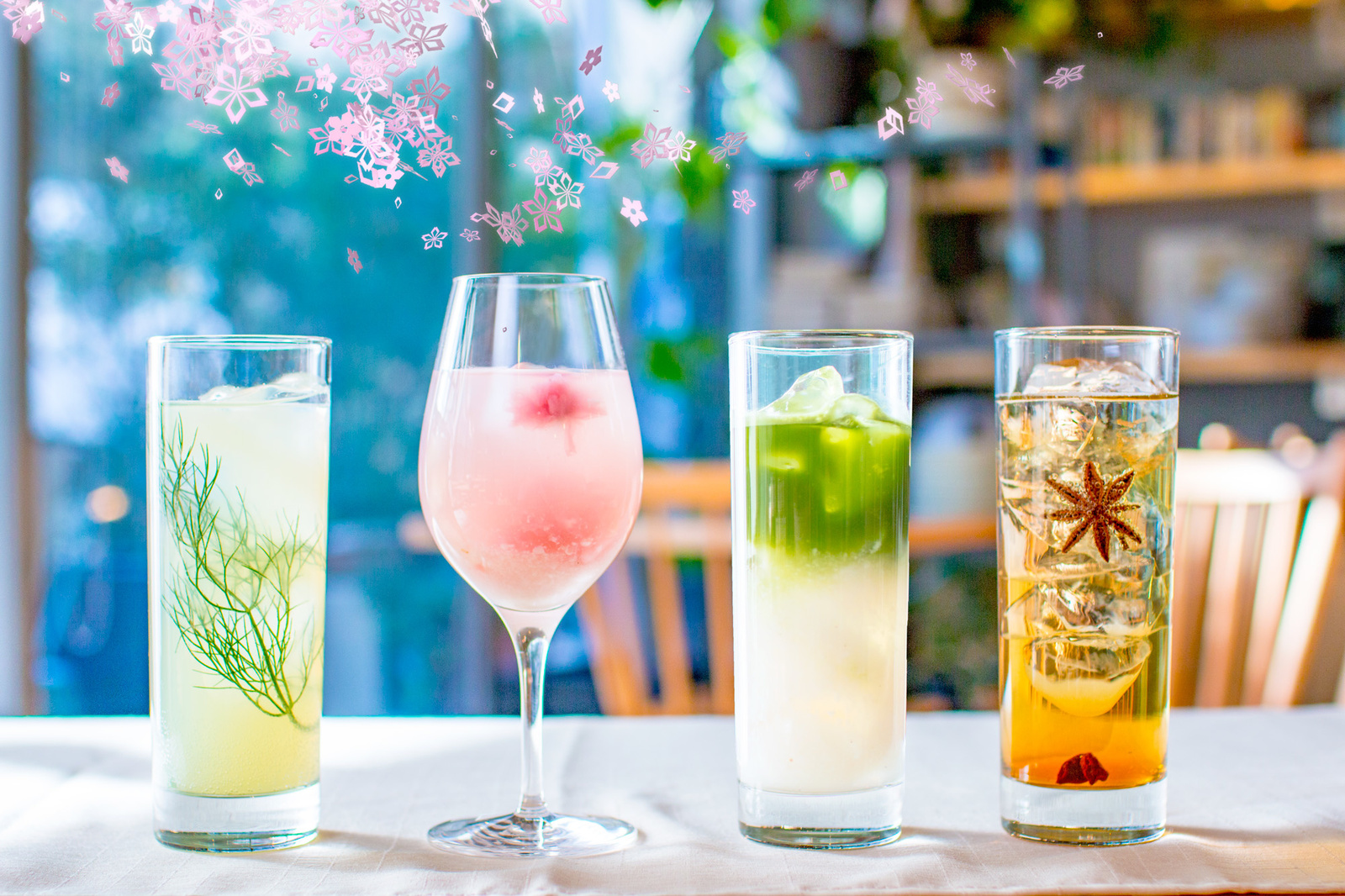 Enjoy Cherry Blossoms, Matcha Drinks & Sweets at Japan's Earliest Cherry Blossom Viewing! 10