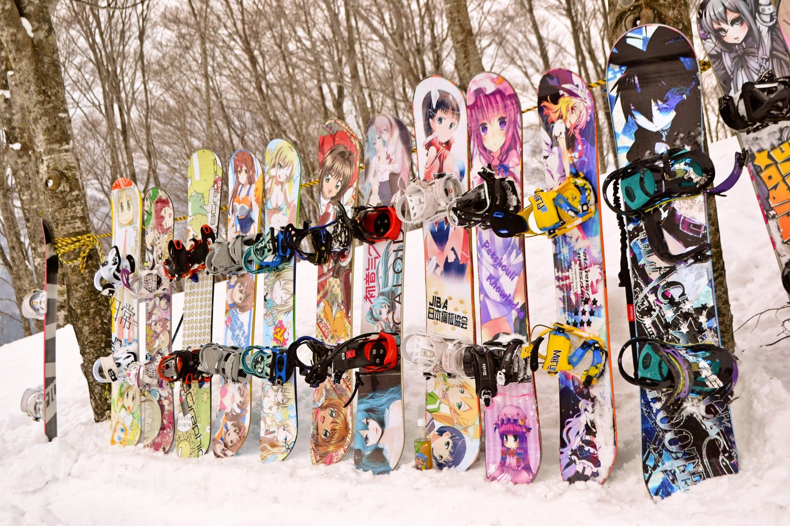 This Year's Trend is Itaita!? The Beautiful Characters Gracing the Slopes Are Drawing Eyes