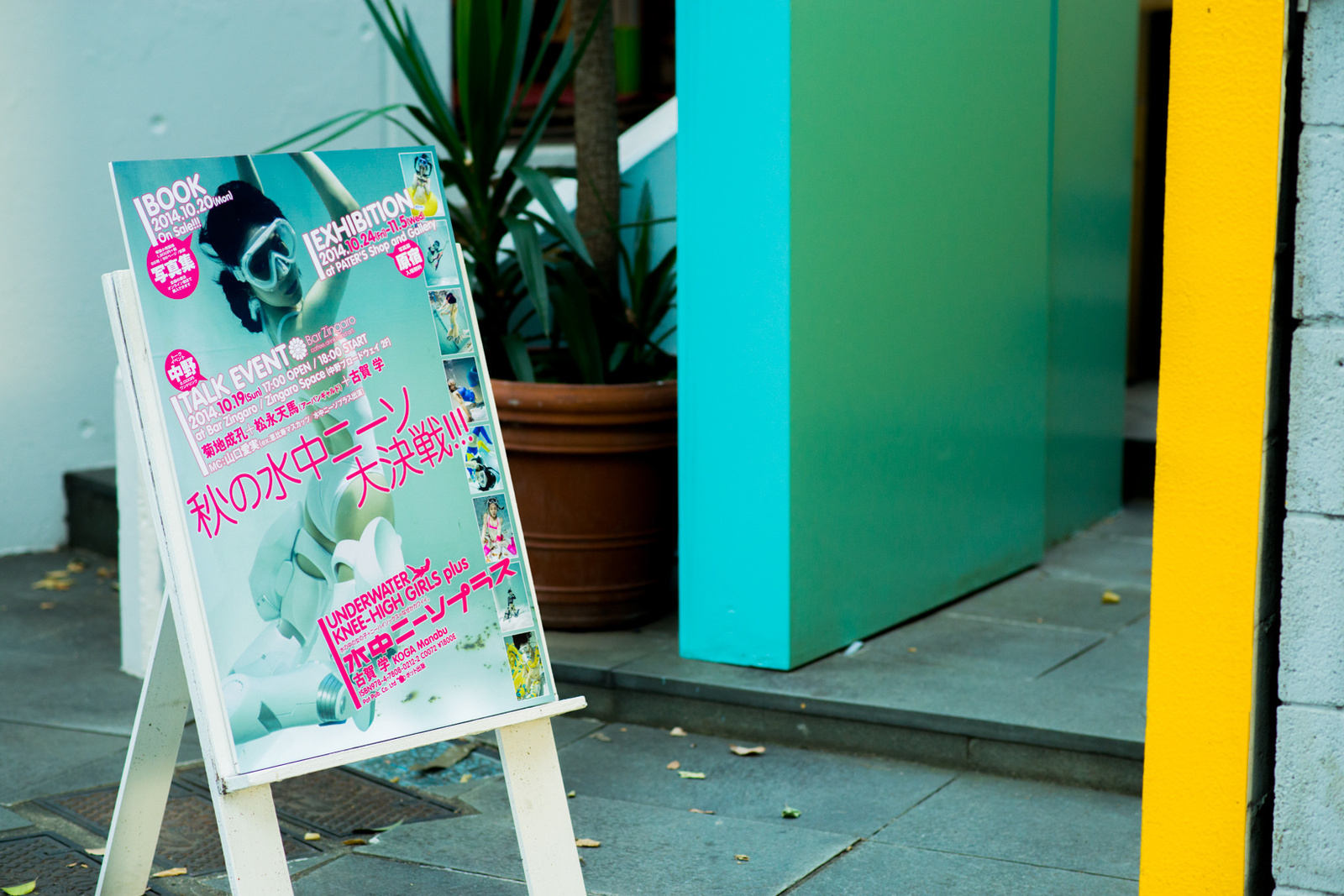 “Underwater Knee-High Girls Plus” GIVE AWAY! Dive Headfirst into the World of Underwater Knee High Socks! 2