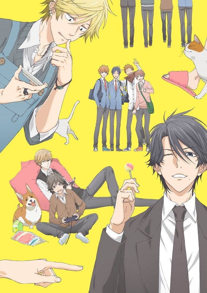 Hitorijime My Hero TV Anime Releases Key Visual & Long PV