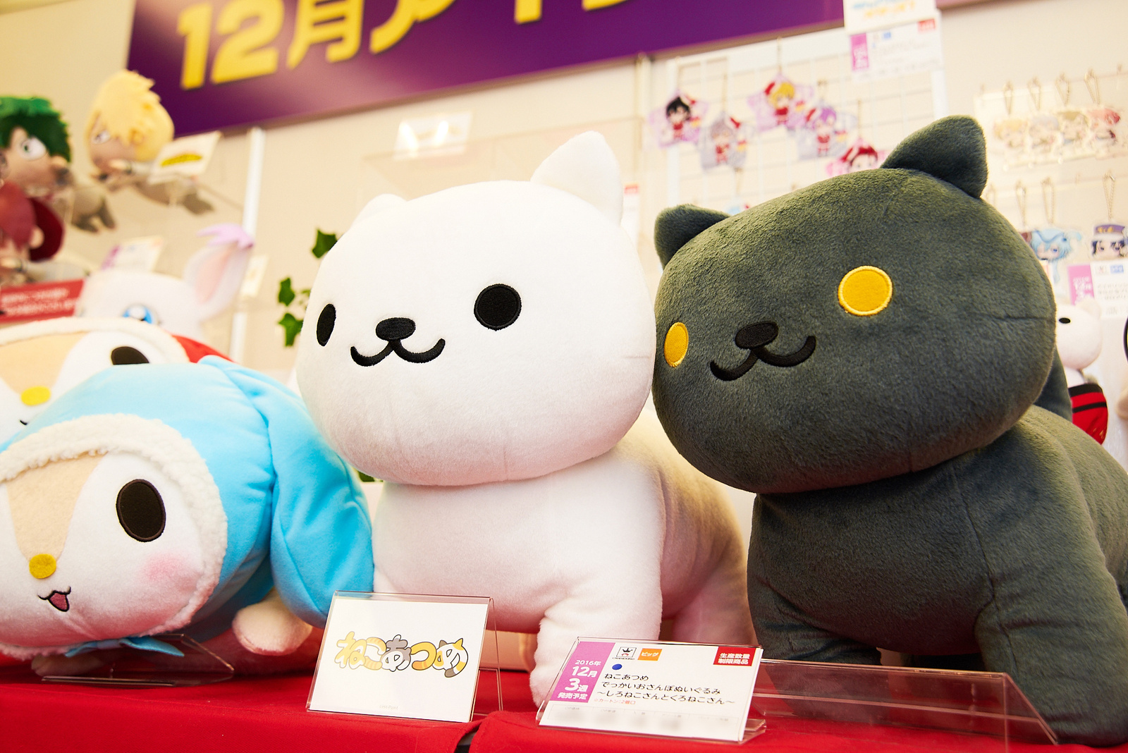 45th Prize Fair [Photo Report] 0