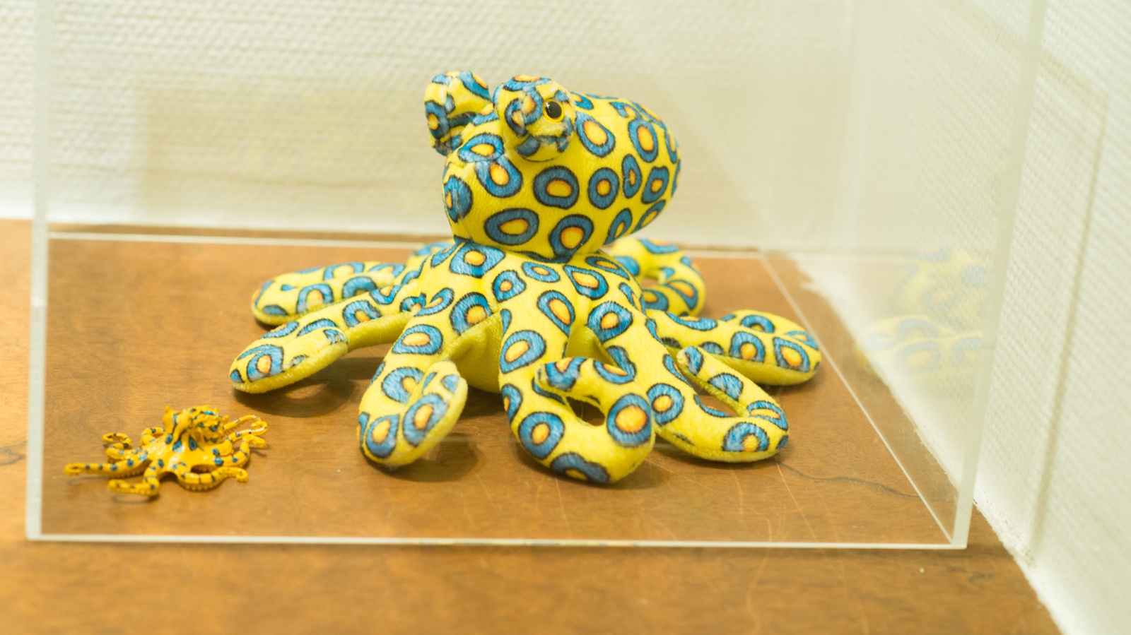 “Underwater Knee-High Girls Plus” GIVE AWAY! Dive Headfirst into the World of Underwater Knee High Socks! 39