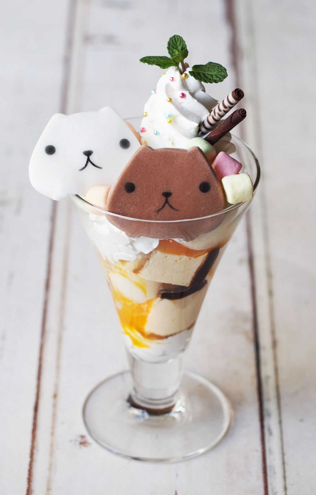 Kapibara-san Spring Collaboration with Hands Cafe and Momi & Toy’s!