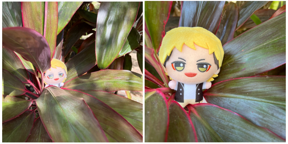 Level Up Your Plushie Photos (PART ONE)