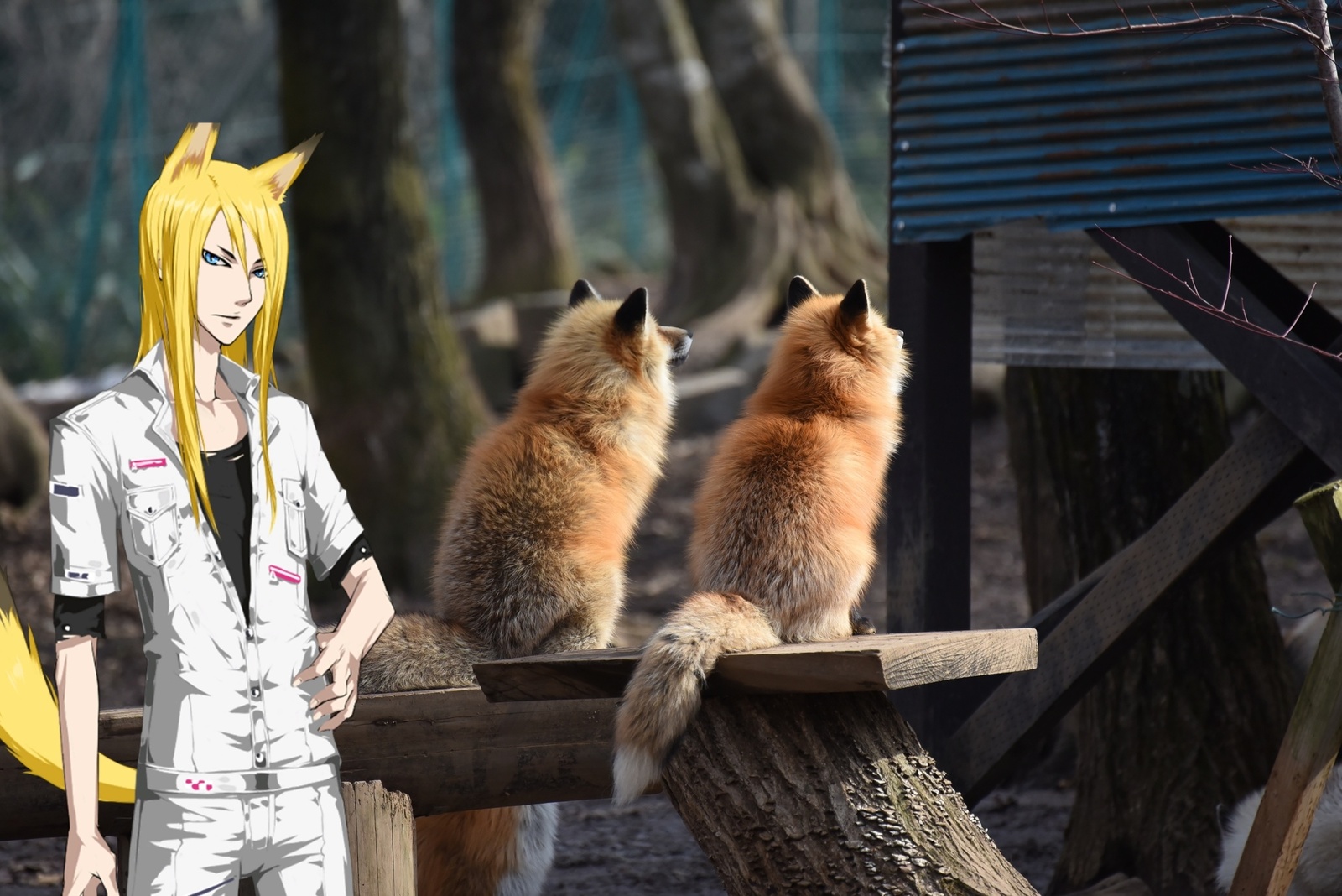 5 Heavenly Destinations in Japan for the Animal Lover [Ikemen Edition] 4