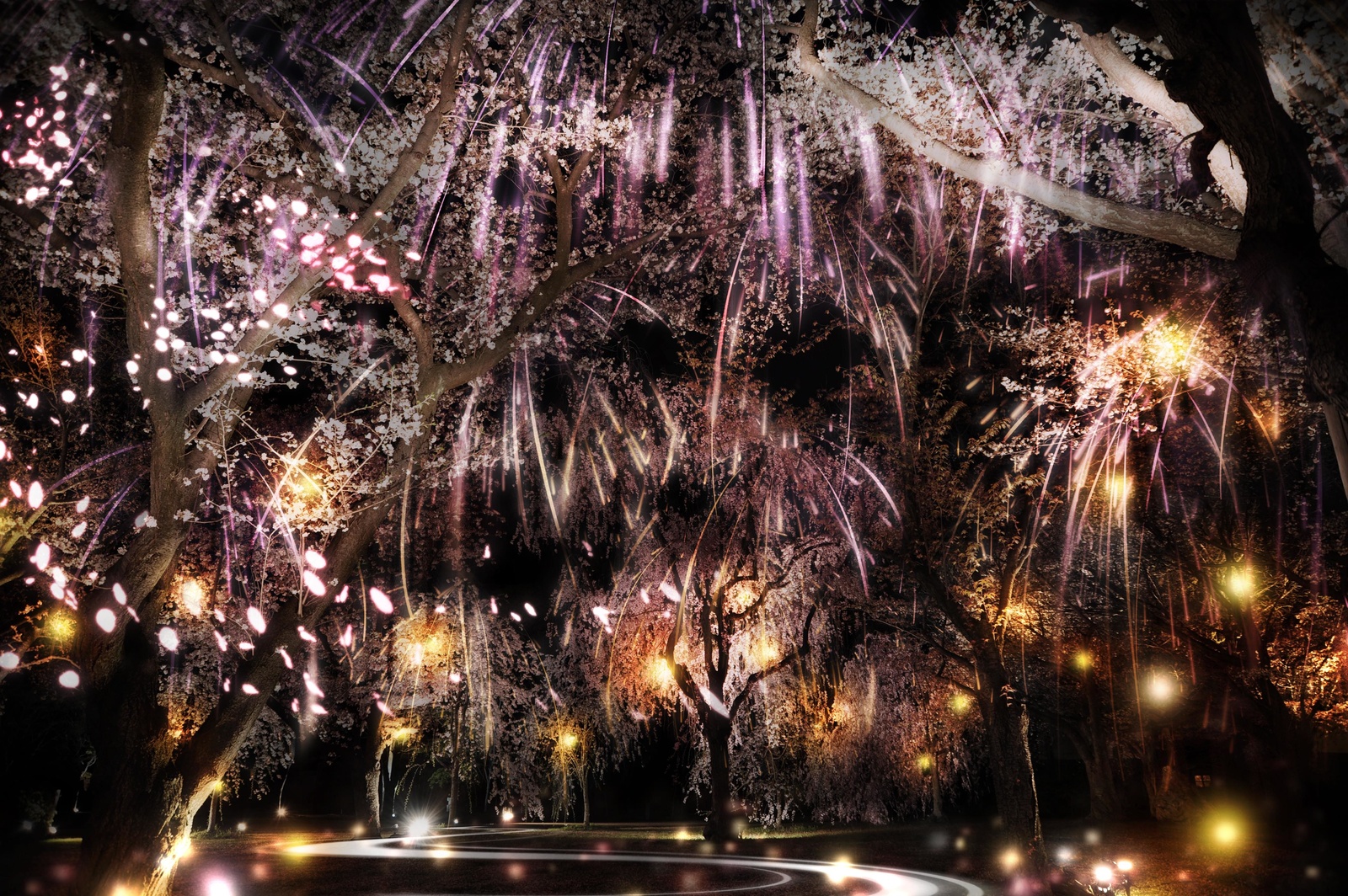 NAKED Gives Hanami a High-Tech Twist at Nijo Castle 1