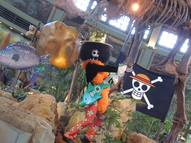 The World of *One Piece* Comes to USJ! “One Piece Summer Adventure” Opening Day Report