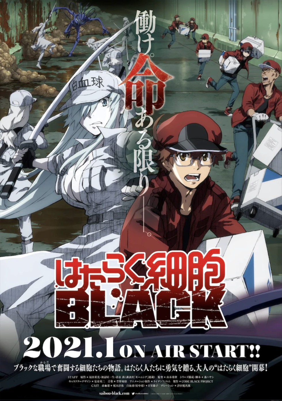 Cells at Work! Code Black Anime to Air in January!