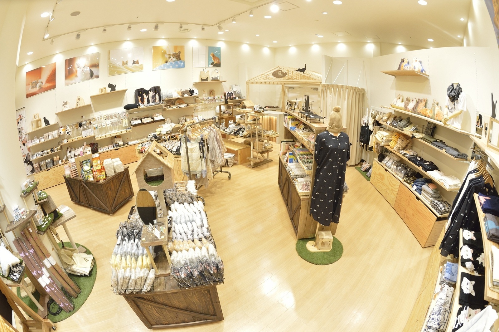 Step into Summer with a Pair of Adorable Cat Paw Socks! 15