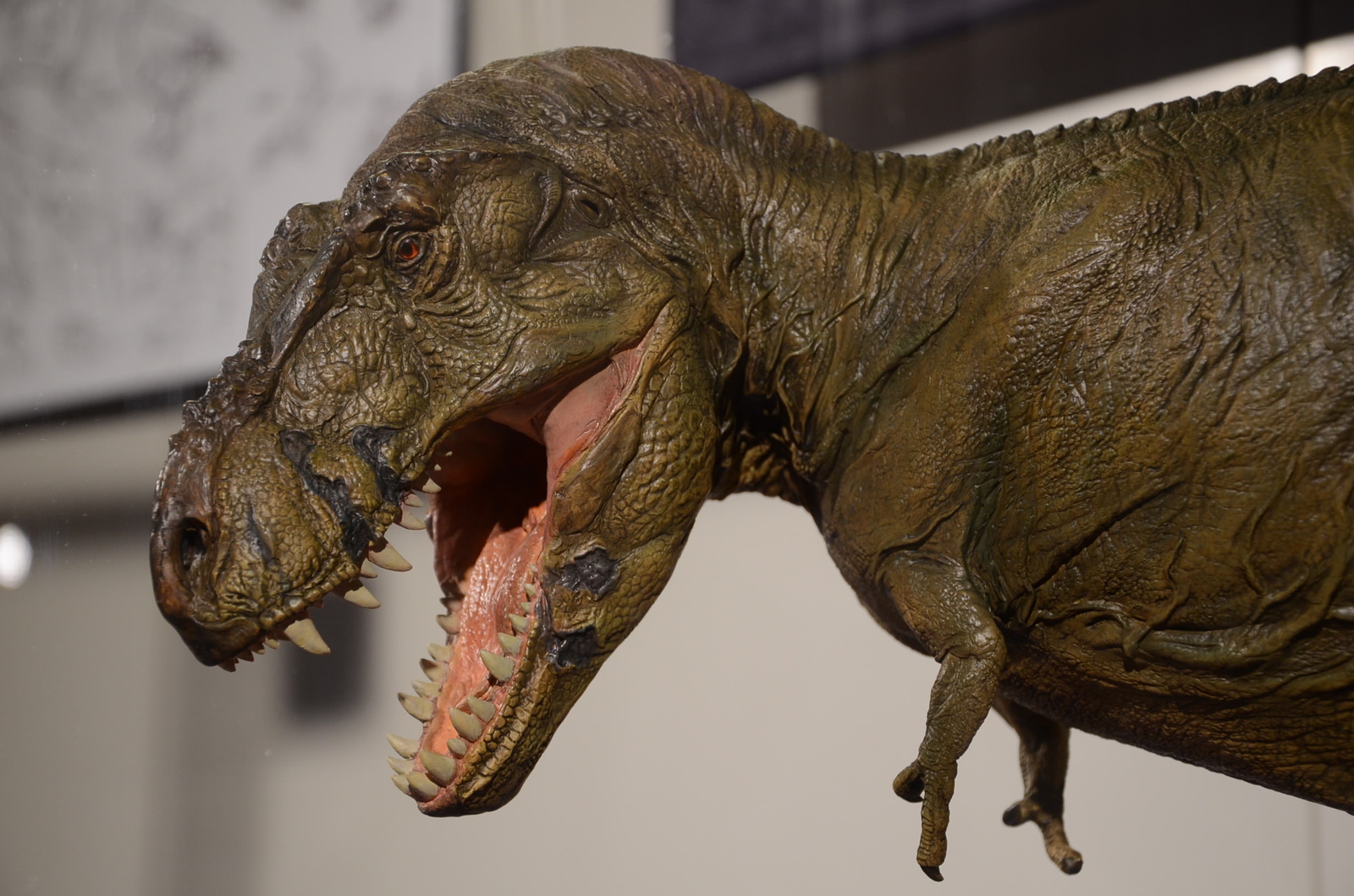 Thirty Years of Excellence! Makers of Excellent Quality Figures Showcased at “Kaiyodo Figure World”! 13