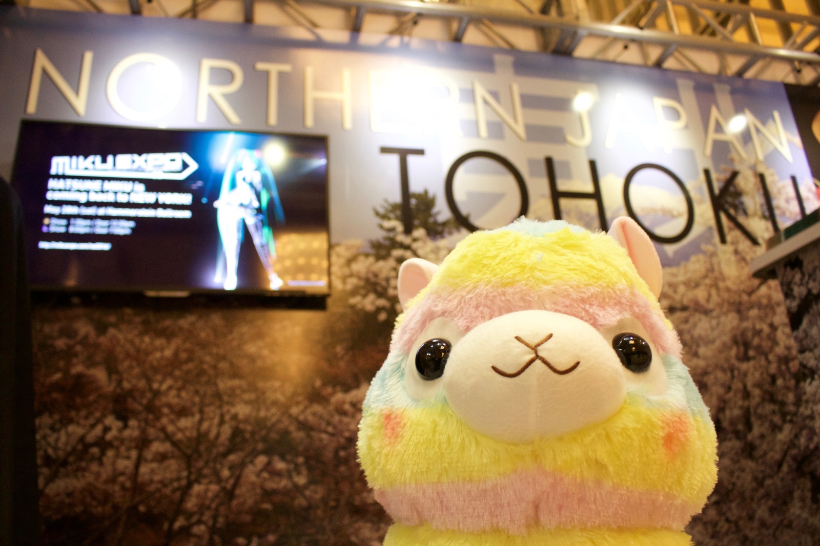 Over 200,000 People Show Their Passion for Japanese Culture at Japan Week 2016! 2