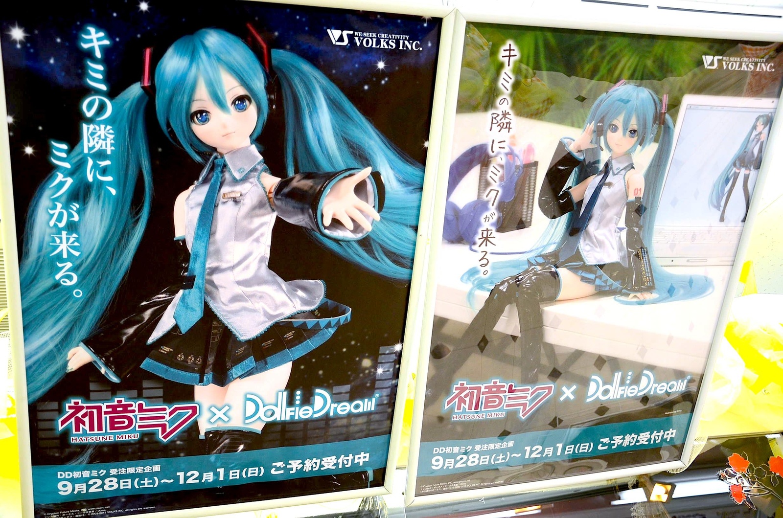 All throughout the store... 12