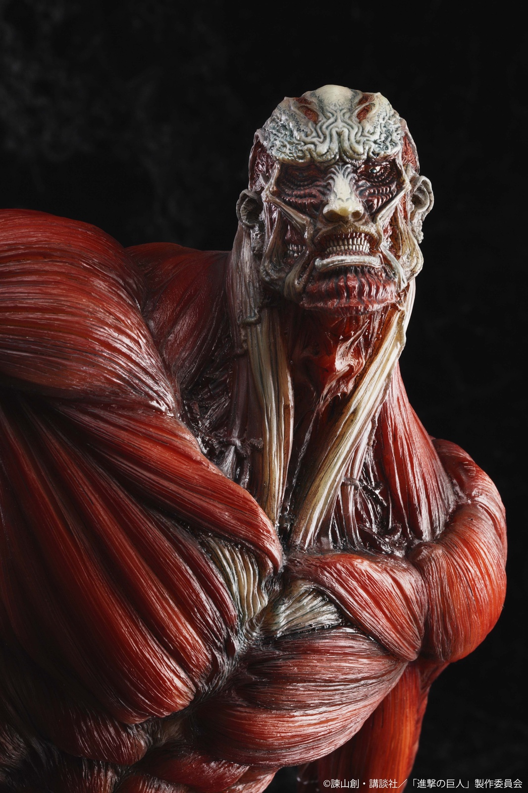 *Attack on Titan* and *KanColle* Figures Available for Pre-Order Aug. 28! 3