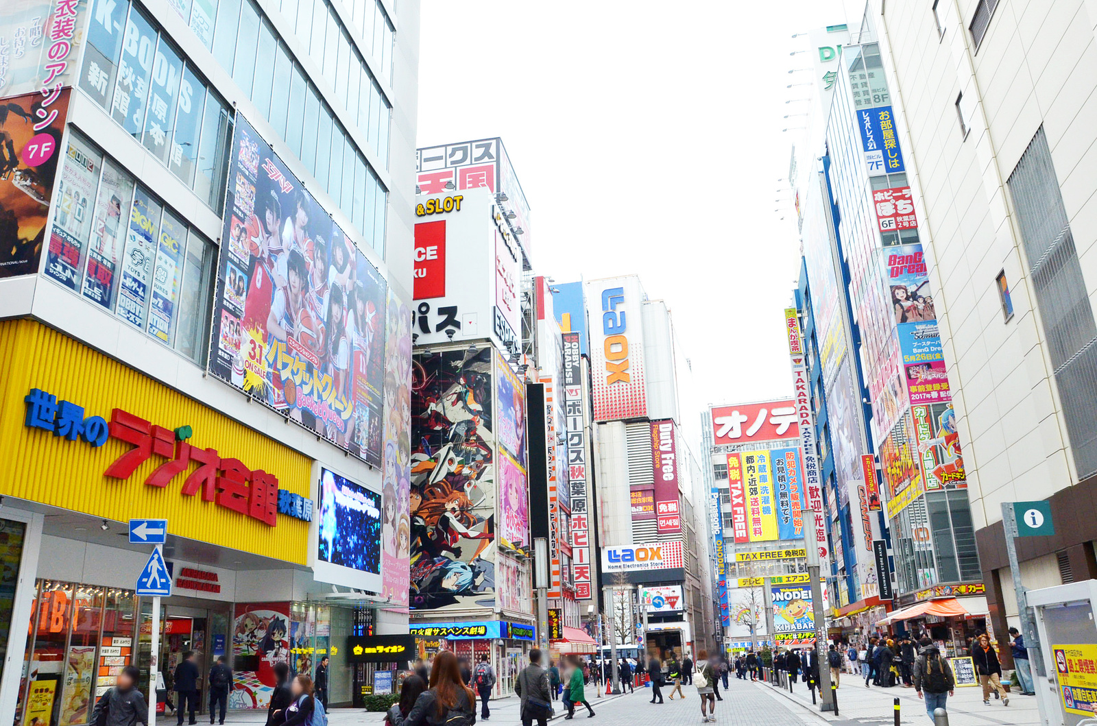 5 Insider Otaku Spots in Akihabara [Interview]