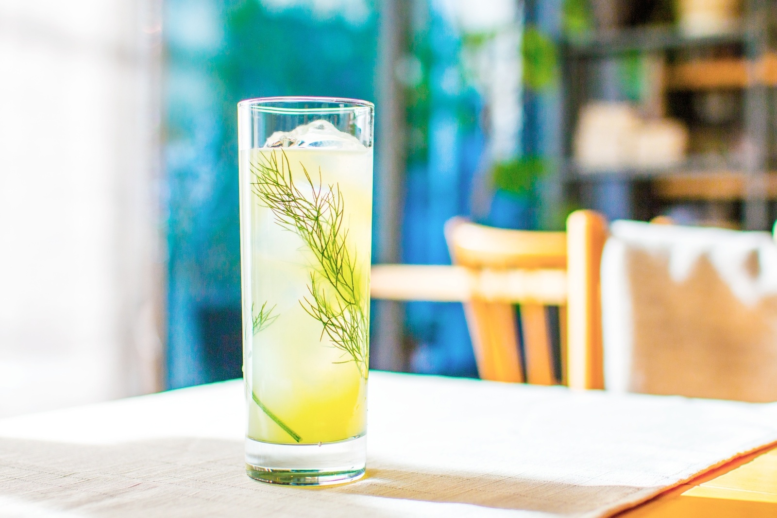 Enjoy Cherry Blossoms, Matcha Drinks & Sweets at Japan's Earliest Cherry Blossom Viewing! 1