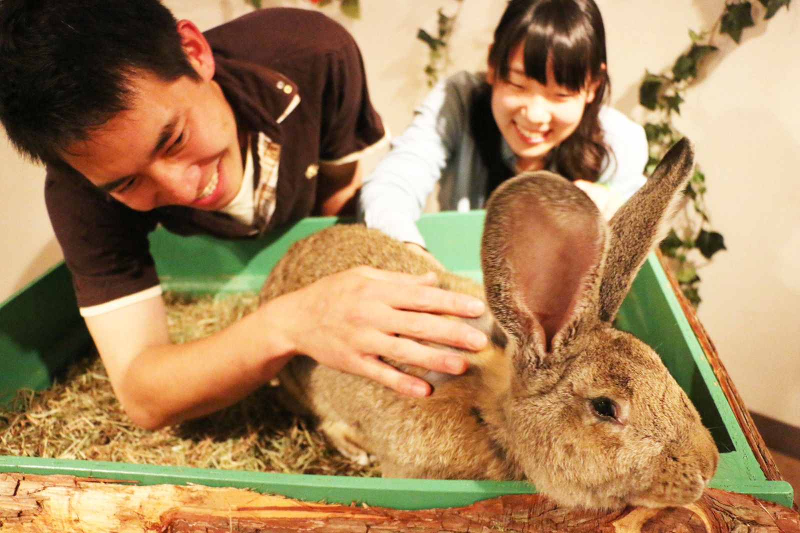 Touch de Zoo at night 2