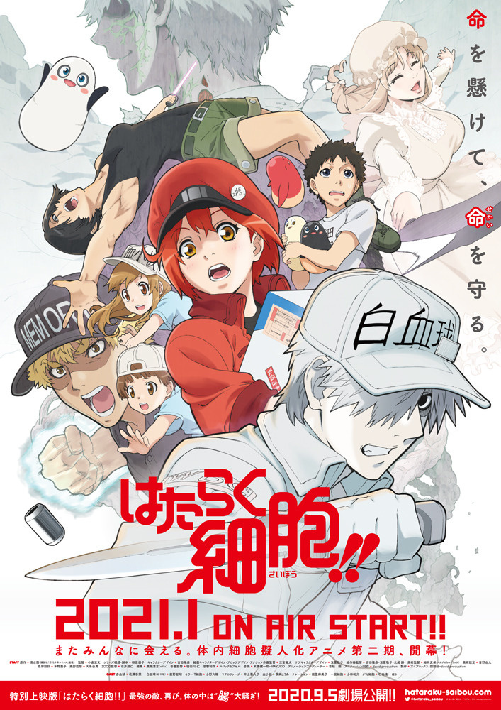 Cells at Work to Return With Season 2 in Jan. 2021!