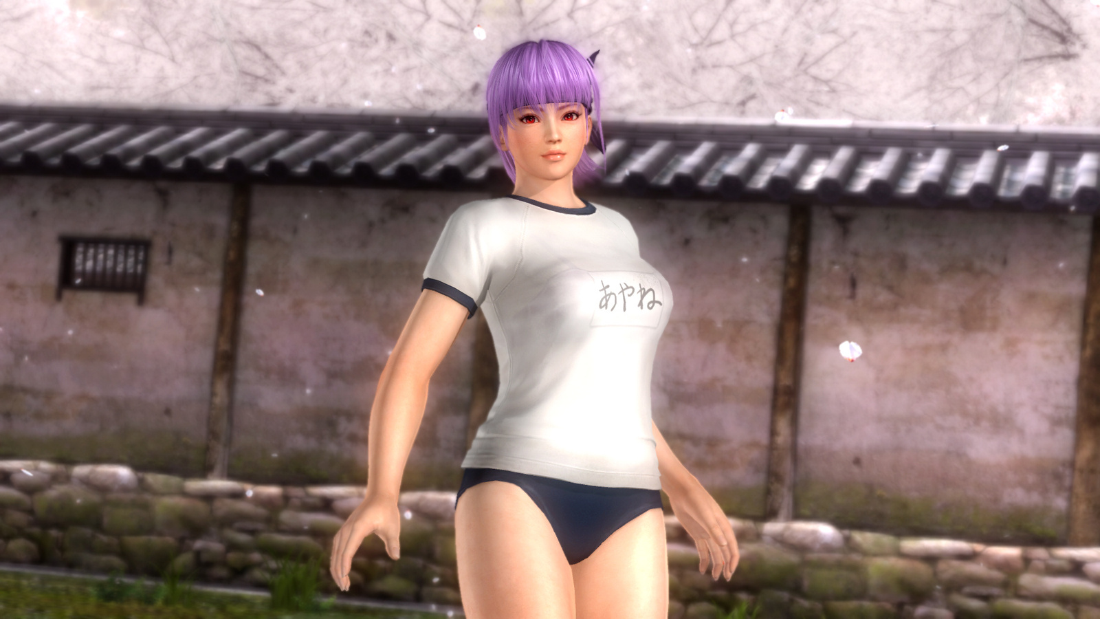 Gym clothes pack for Ayane 8