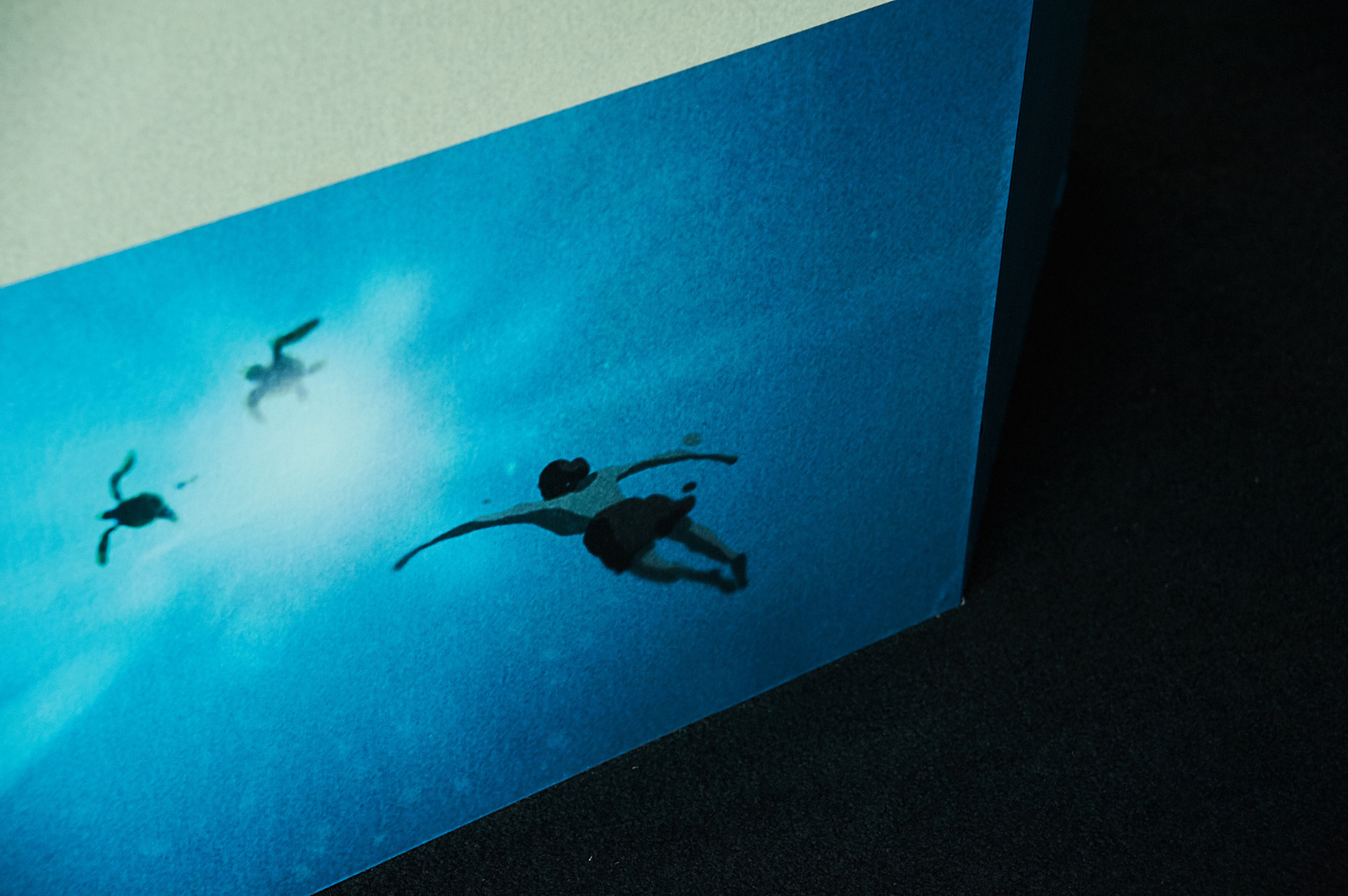 [Event Report] Celebrate 30 Years of Studio Ghibli with the Great Ghibli Exhibition! 14