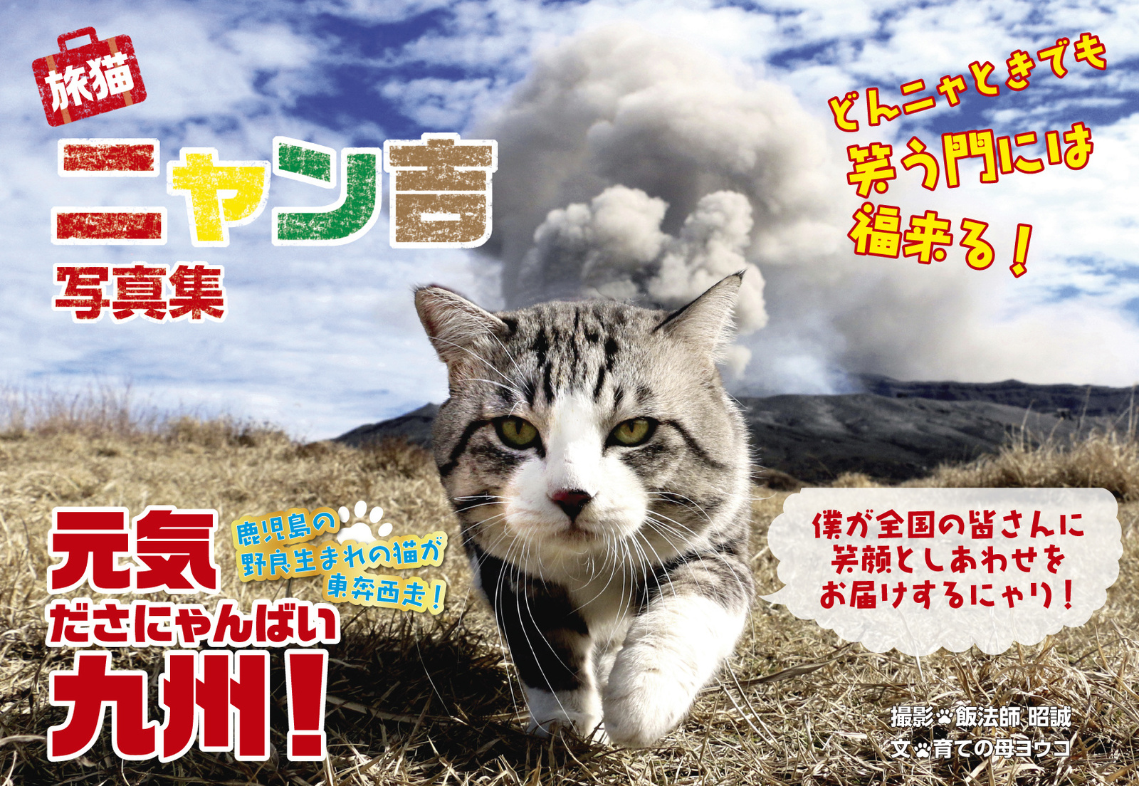 Idol Cat Nyankichi’s Official Photo Collection Hits Shelves! 1