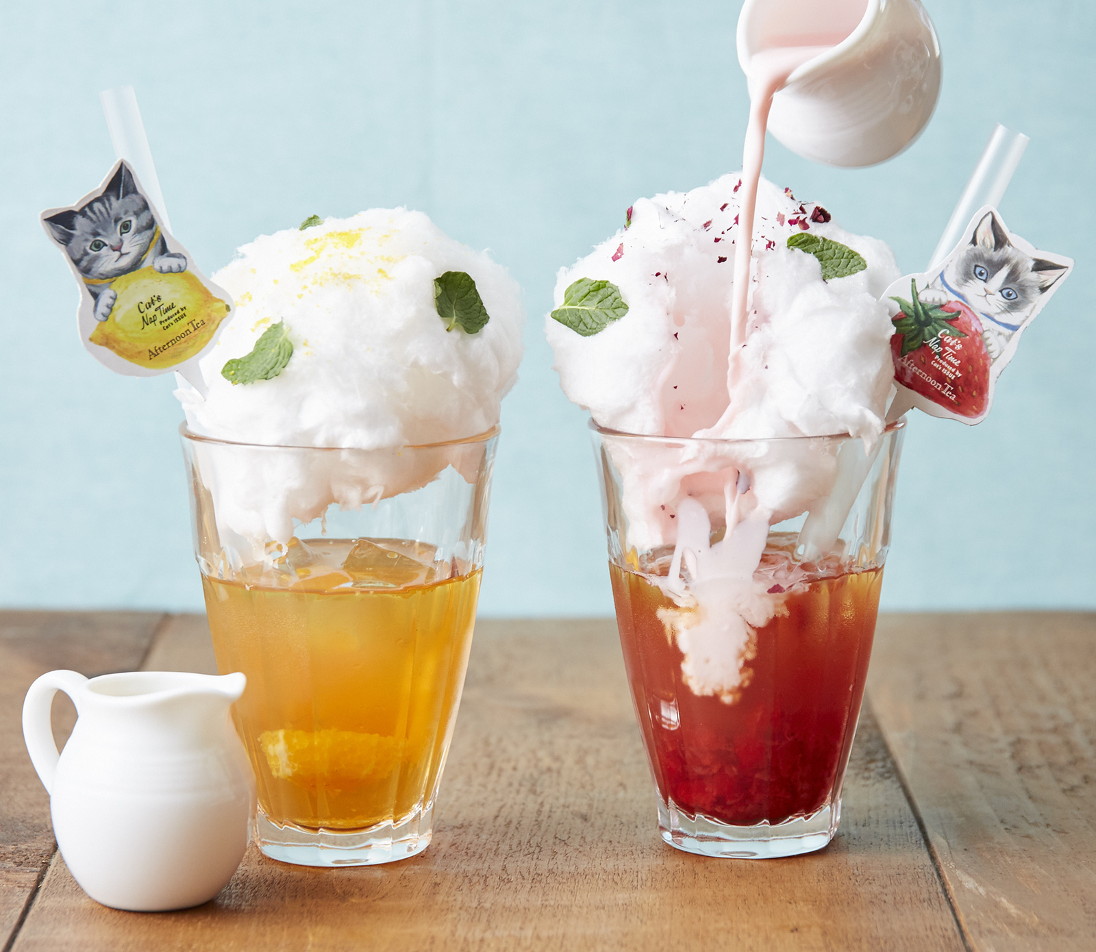 Get Your Paws on Jumbo-Sized Cat Cookies at a Secret Cat Tea Party! 1