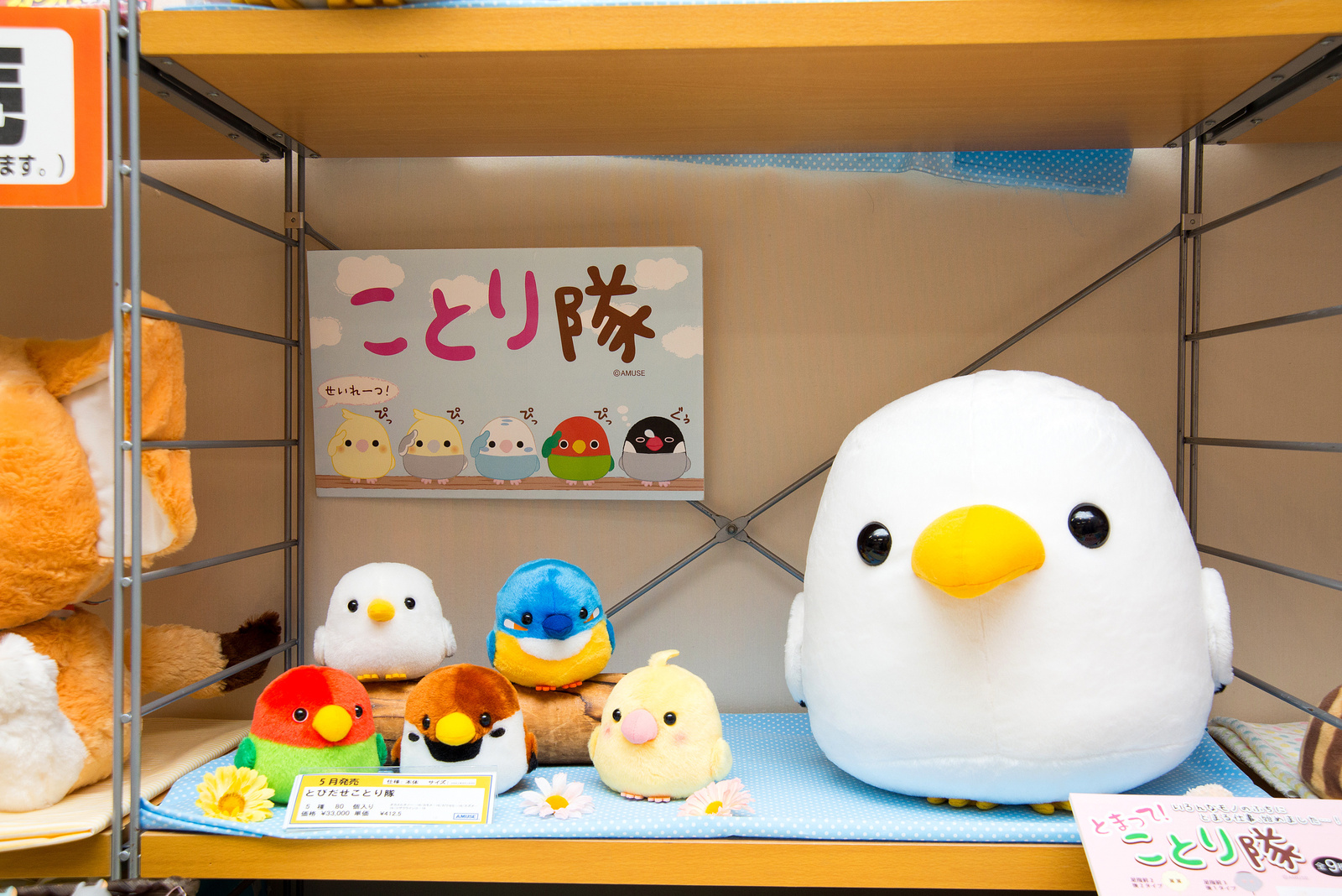 Tobidase Kotori Tai 3