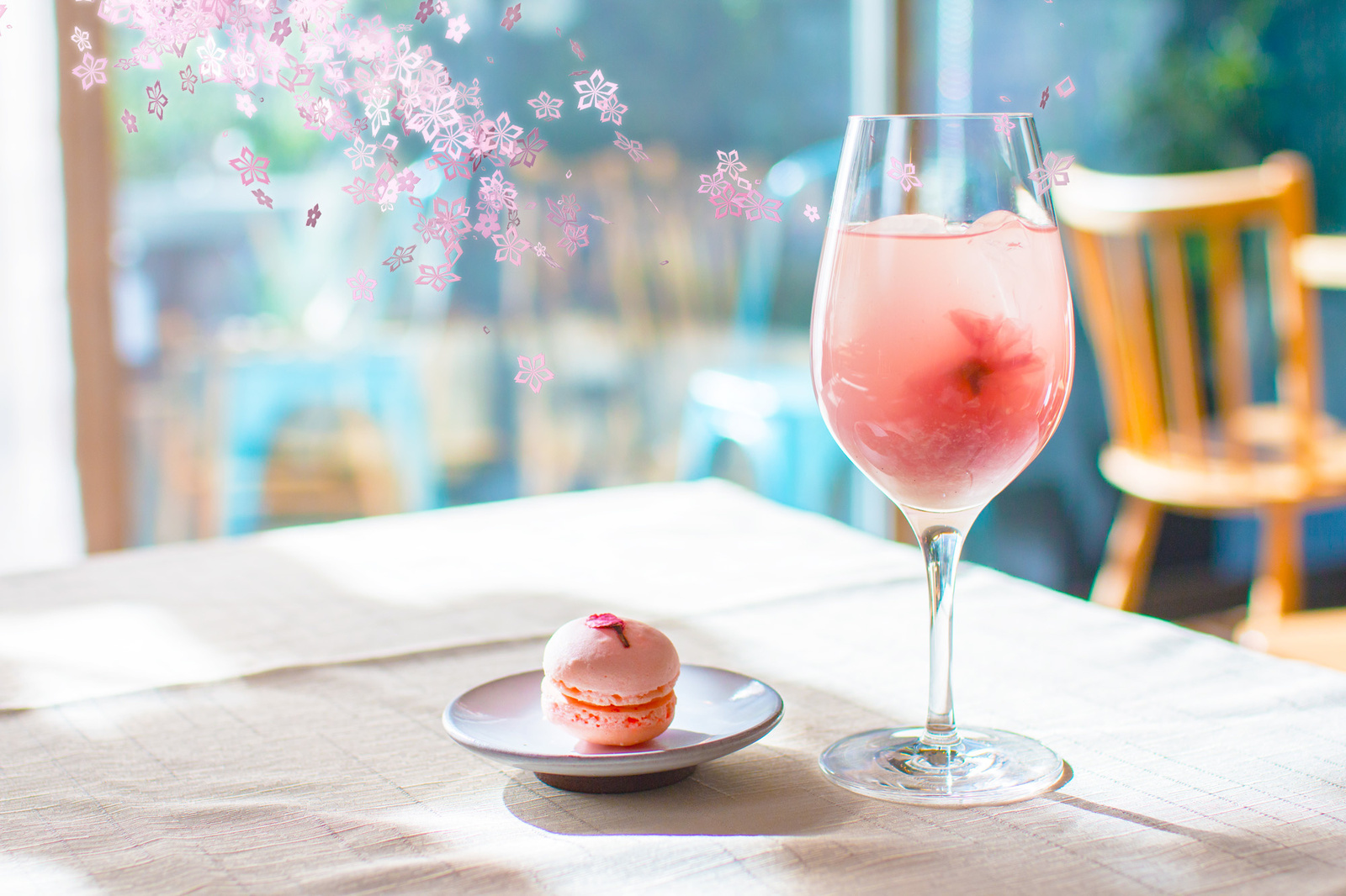 Enjoy Cherry Blossoms, Matcha Drinks & Sweets at Japan's Earliest Cherry Blossom Viewing! 0