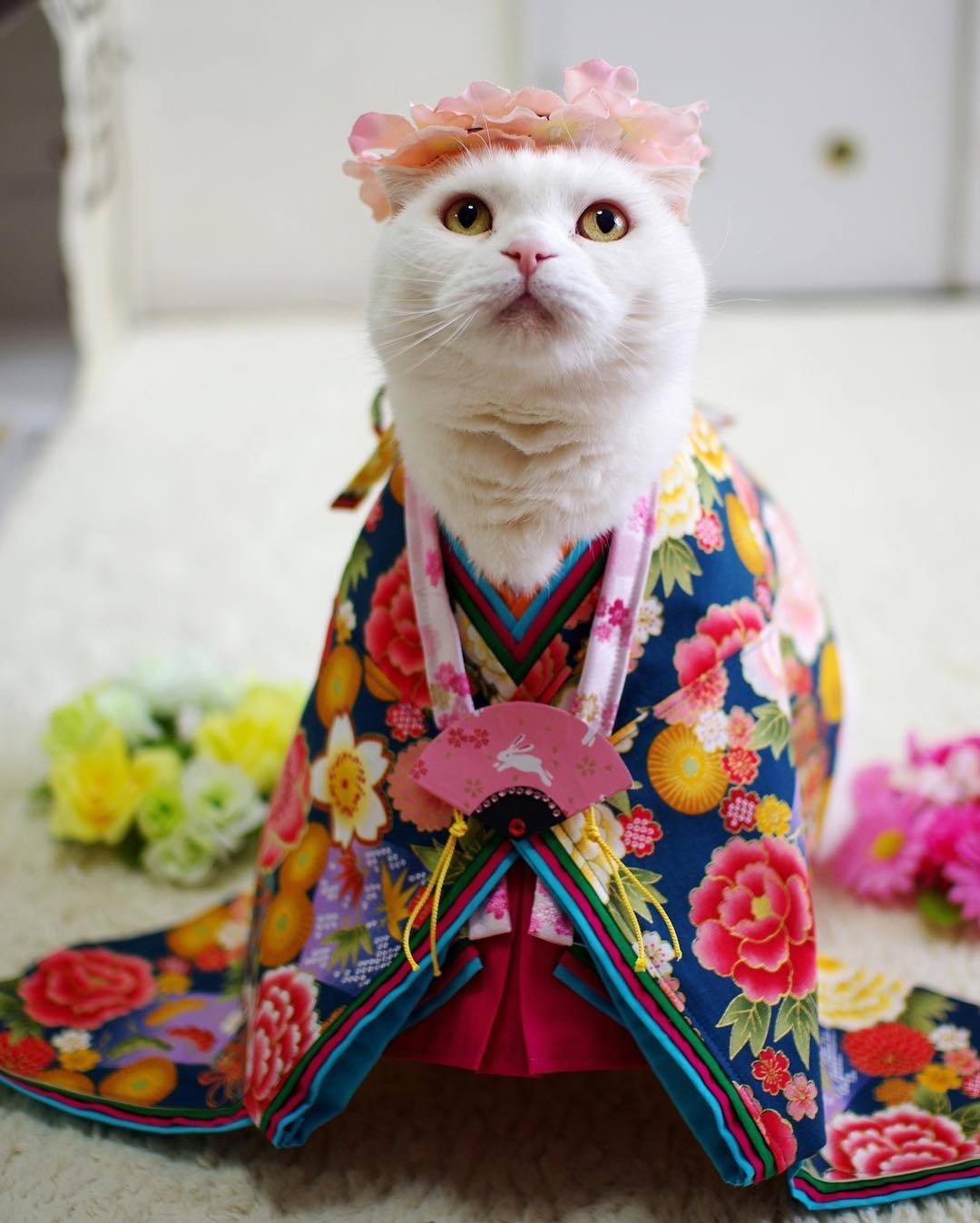 Kawaii Meets Traditional in These Girls' Day Celebration Dolls