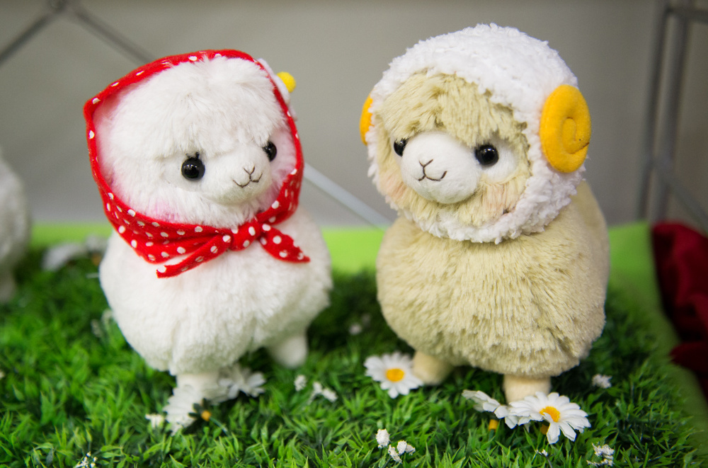 Waiting for Us at the Amuse Exhibition Were Year of the Sheep Alpacasso