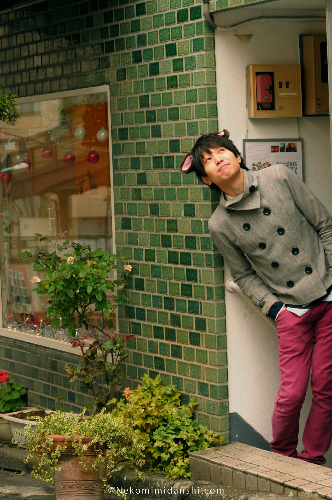 What the Nyan?! Nekomimi for Men Now Available! 2